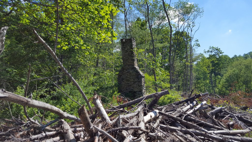 _102840.jpg