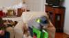 _104923_small.jpg