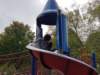 _123730_small.jpg