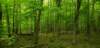 _102501_small.jpg
