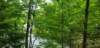 _103224_small.jpg