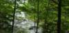 _103229_small.jpg