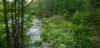 _103234_small.jpg