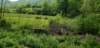 _103525_small.jpg