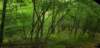 _104655_small.jpg