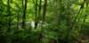 _104857_small.jpg