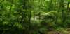 _104859_small.jpg