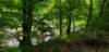 _104905_small.jpg