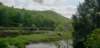 _105105_small.jpg