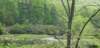 _105108_small.jpg