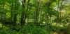 _105559_small.jpg