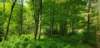 _105604_small.jpg