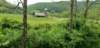 _112544_small.jpg