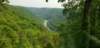 _155918_small.jpg