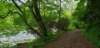 _170854_small.jpg