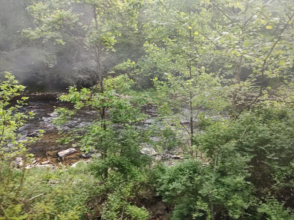 img_20230525_105350173.jpg