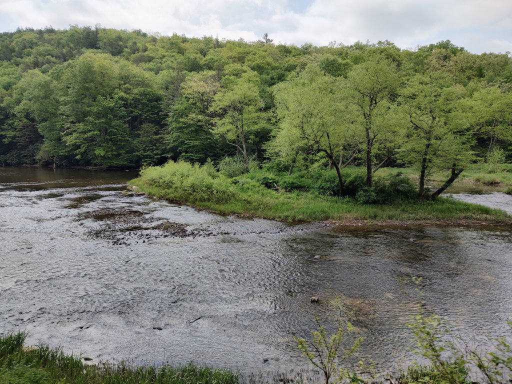 img_20230525_110208460_hdr.jpg