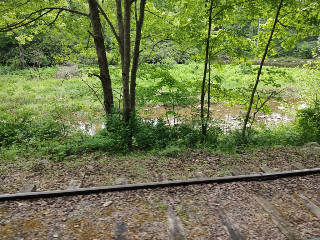 img_20230525_115030542.jpg