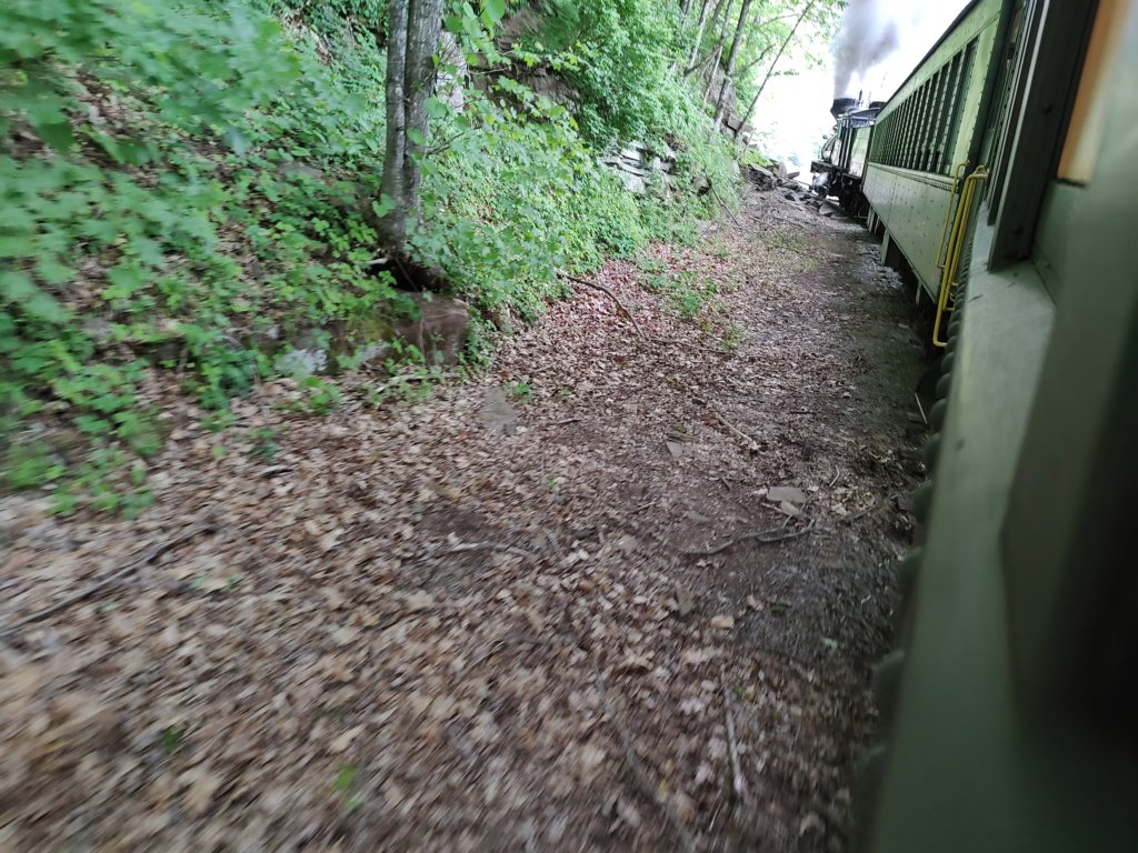 img_20230525_120313299.jpg