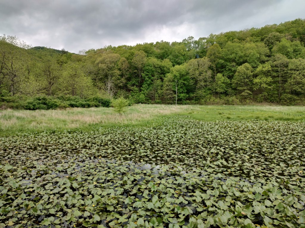 img_20230525_145307505_hdr.jpg