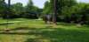 _135411_small.jpg