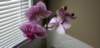 _195817_small.jpg