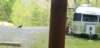 _120325_small.jpg
