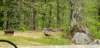 _122737_small.jpg