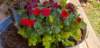 _143119_small.jpg