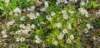 _171356_small.jpg
