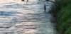 _202008_small.jpg
