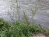 img_20200524_120423675_small.jpg