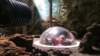 _130149_small.jpg