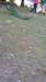 _133407_small.jpg