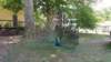 _133507_small.jpg