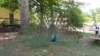 _133513_small.jpg