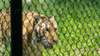 _141735_small.jpg