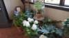 _105454_small.jpg