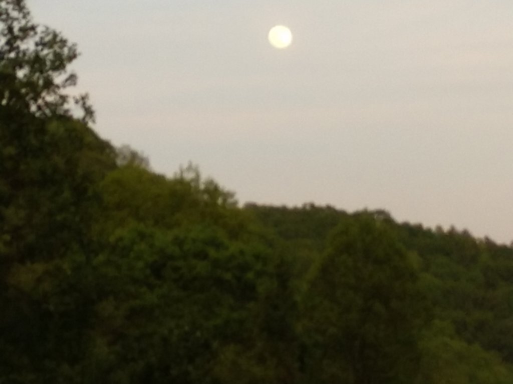 img_20190517_201633746.jpg