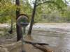 highwater_10112026_small.jpg