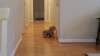 _151602_small.jpg