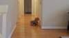 _151604_small.jpg