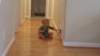 _151620_small.jpg