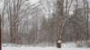_090120_small.jpg