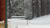 _112336_small.jpg