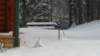 _112338_small.jpg