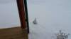 _113651_small.jpg