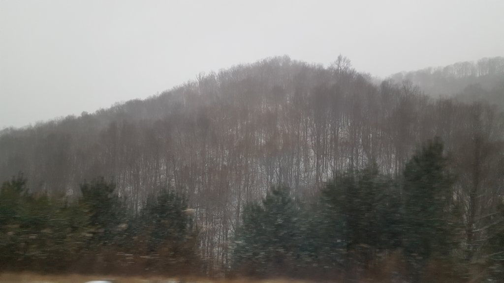 _170332.jpg