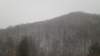 _170351_small.jpg
