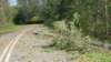 _114418_small.jpg